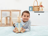Beatrix Potter Peter Rabbit Soft Toy 24cm 14152