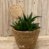 Plant Pot Insert - Personalised 11449