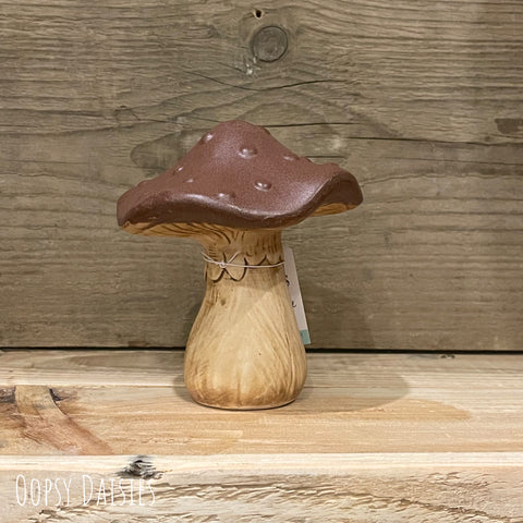 Mushroom Brown Md 13371