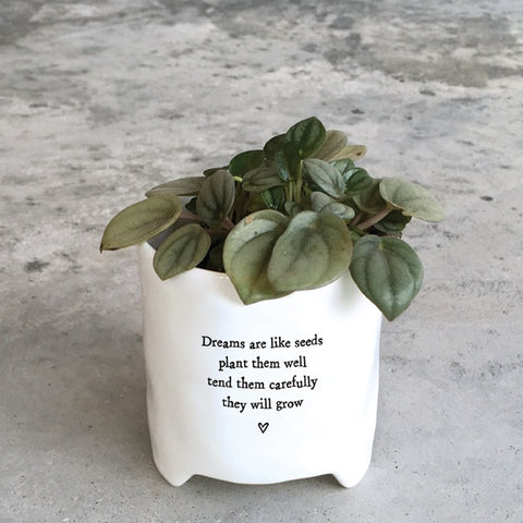 Porcelain Planter - Dreams are Like Seeds 12984
