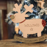 Personalised Chunky Rocking Reindeer 9321