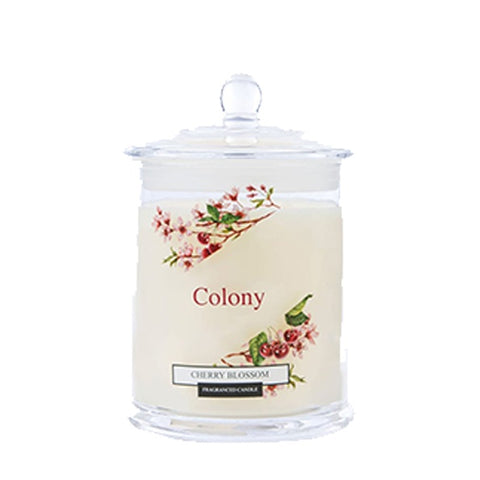 Jar Candle Small - Cherry Blossom 11358