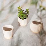 Grooved Planter Small Off White - Straight 12631