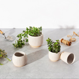 Grooved Planter Small Off White - Slant 12632