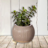 Grooved Planter Small Grey - Round 12633