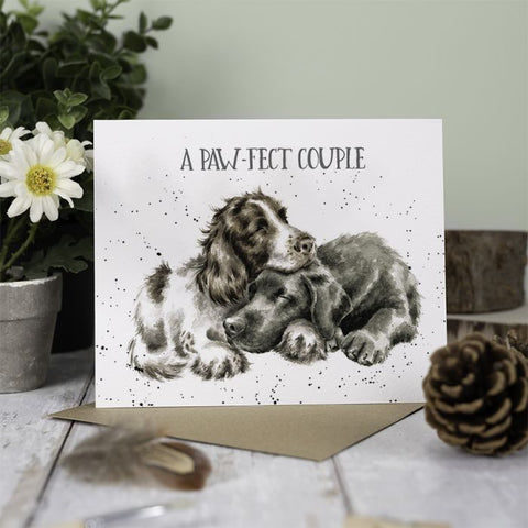 Greetings Card - A Paw-fect Couple 13346