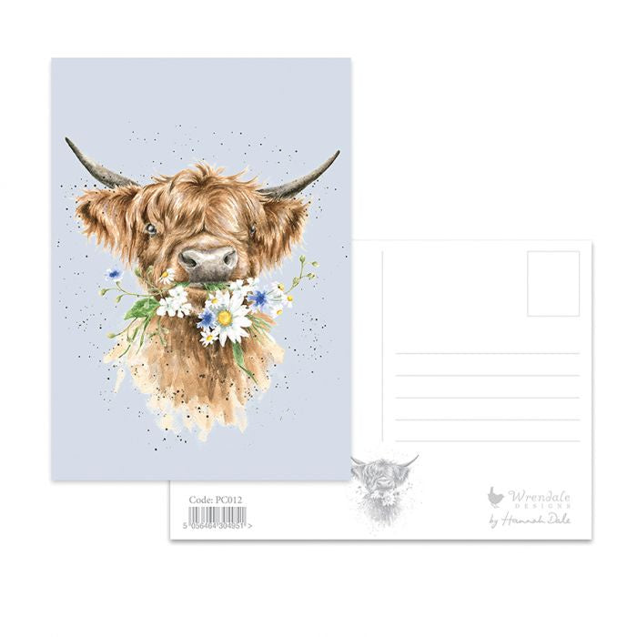 Postcard - Daisy Coo / Cow 12597