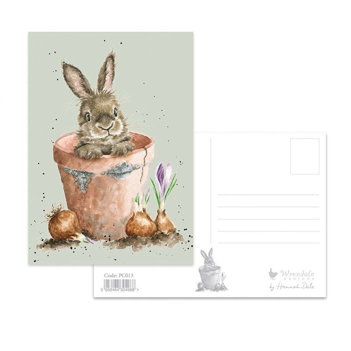 Postcard - The Flower Pot / Bunny 12598