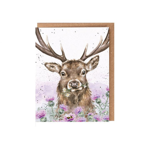 Seed Card - Thistle Make you Smile / Stag 12720